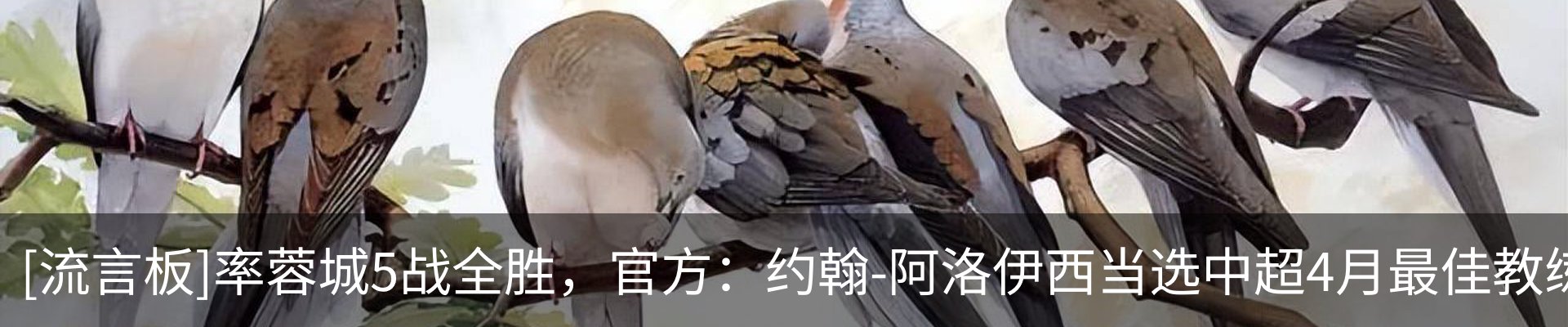 行业资讯